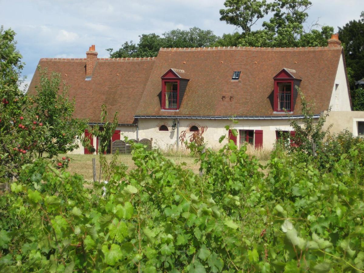 Vernou-sur-Brenne Cottage Du Vigneron מראה חיצוני תמונה